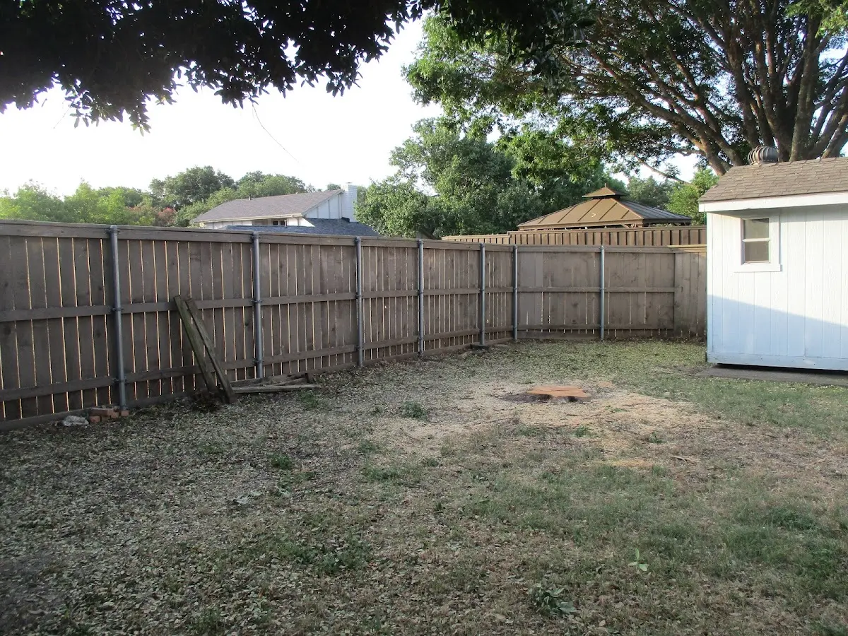 Cleared yard after professional tree removal in Martensdale